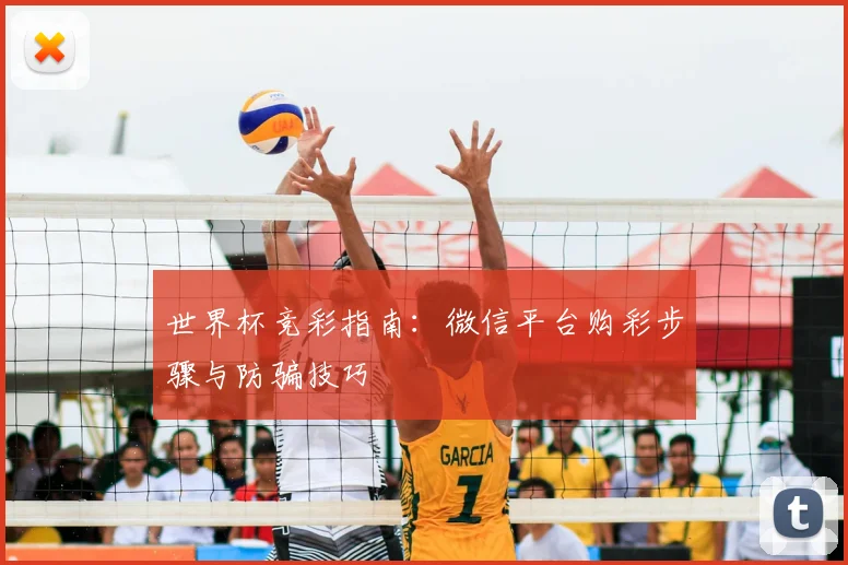 世界杯竞彩指南：微信平台购彩步骤与防骗技巧