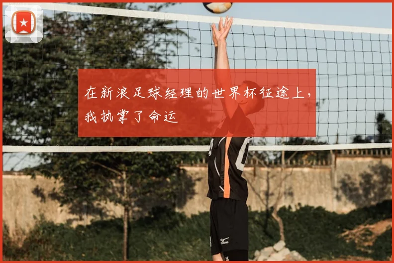 在新浪足球经理的世界杯征途上,我执掌了命运