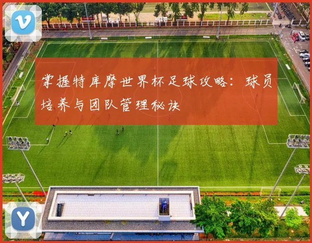 掌握特库摩世界杯足球攻略：球员培养与团队管理秘诀