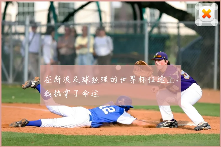 在新浪足球经理的世界杯征途上,我执掌了命运