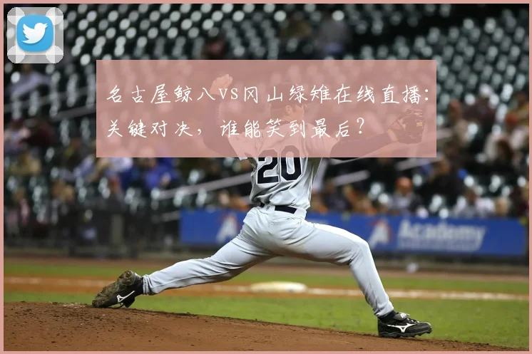 名古屋鲸八vs冈山绿雉在线直播：关键对决，谁能笑到最后？