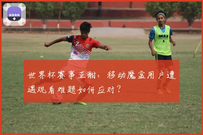 世界杯赛事正酣，移动魔盒用户遭遇观看难题如何应对？